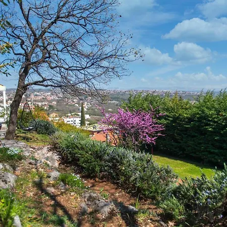 Premium Villa, Heatable Infinity Pool, Jacuzzi And Seaview, And Just 10min By Foot * Volosko